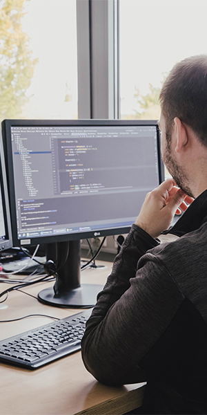 IT-specialist voor het programmeren van applicatieontwikkeling IT-specialist voor applicatieontwikkeling controleert code