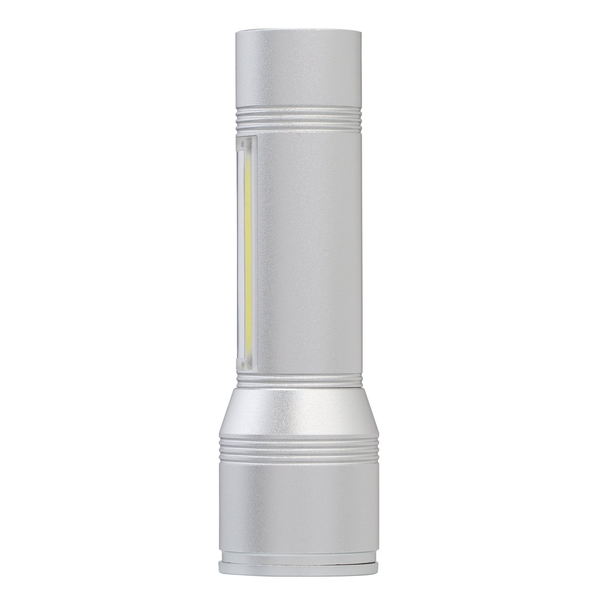 Taschenlampe REEVES-FLASH 100 silber